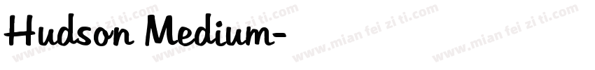 Hudson Medium字体转换